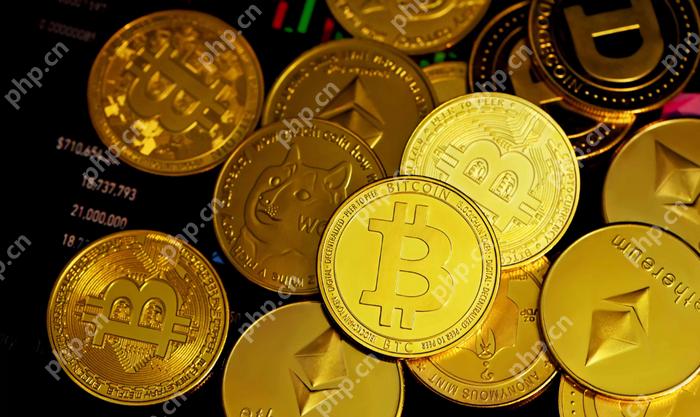 2025年十大比特币交易APP推荐 安全的比特币交易APP汇总 - php中文网